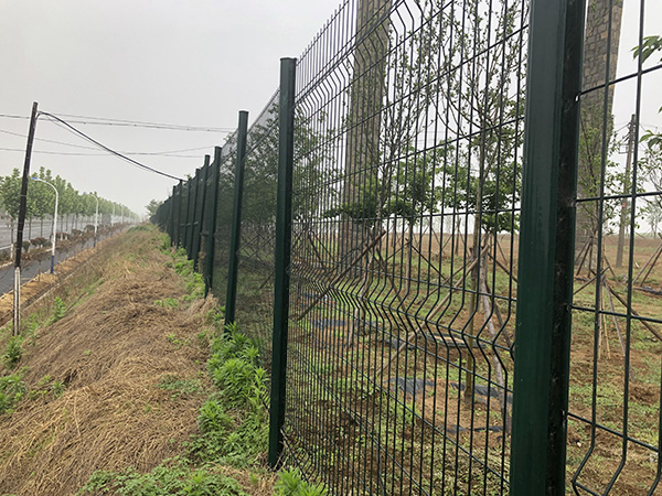 綠化帶護(hù)欄網(wǎng)案例展示圖片2 綠化帶護(hù)欄網(wǎng)案例展示圖片2
