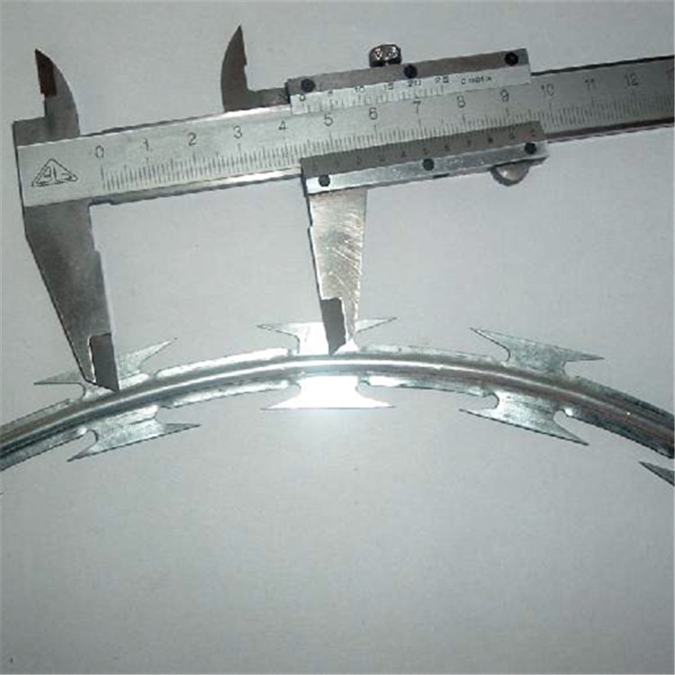 刀片刺網(wǎng)案例展示圖片2 刀片刺網(wǎng)案例展示圖片2