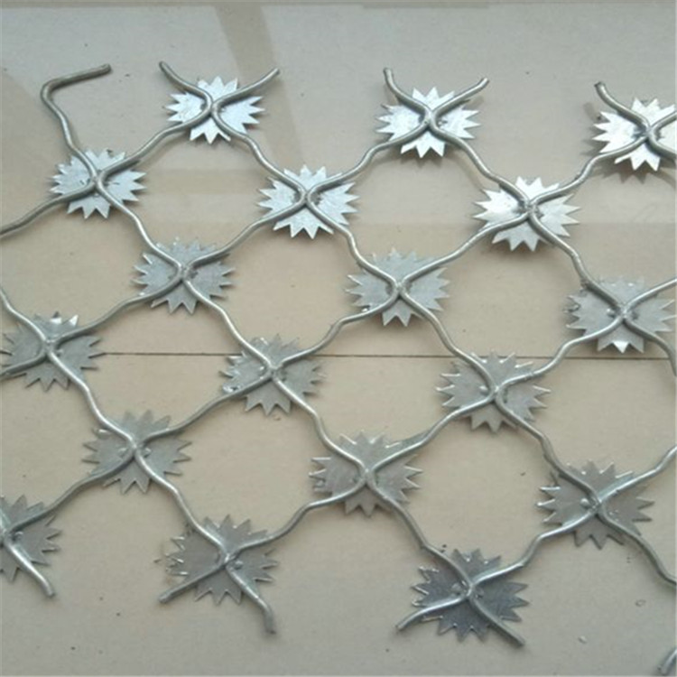 梅花刺隔離網(wǎng)案例展示圖片1 梅花刺隔離網(wǎng)案例展示圖片1